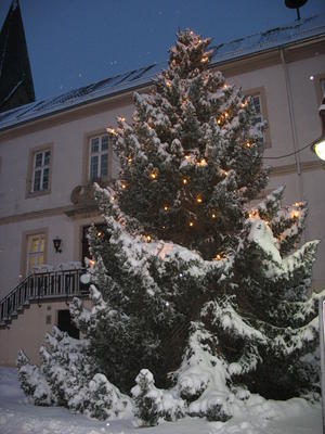 Weihnachtsbaum im Schnee